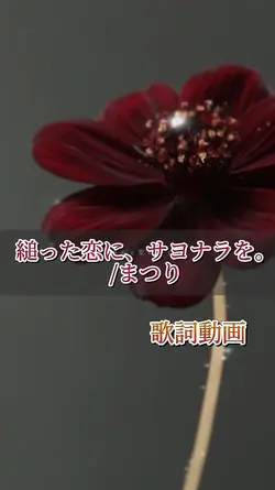 このお花の花言葉は『恋の終わり』を表す