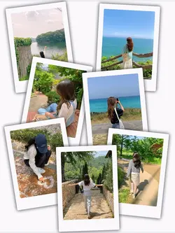 7Pic Clip Transition