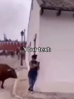 Bull runs over woman