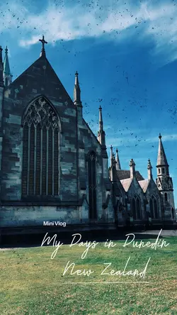 Dunedin City