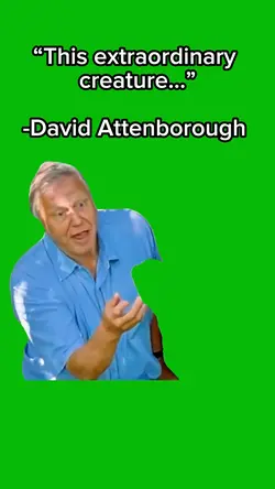 David Attenborough