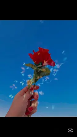 Voice video