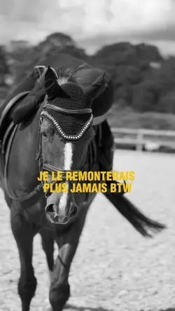 C’est fini…