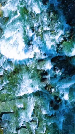 DJI Aerial View