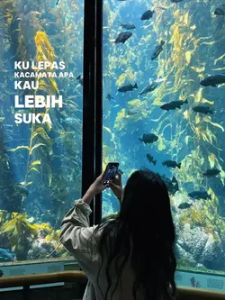 kulepas kacamata