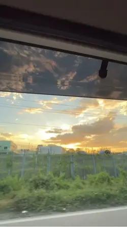 Sunset vibes