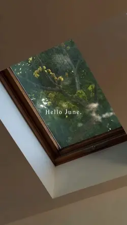 hello june