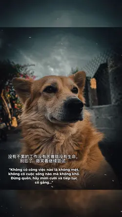 Khung ảnh + cap