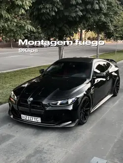 Montagem fuego