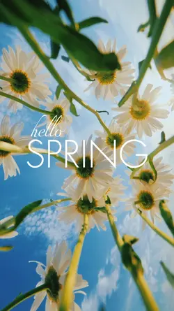 HELLO SPRING