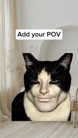 Cat Smiling Meme