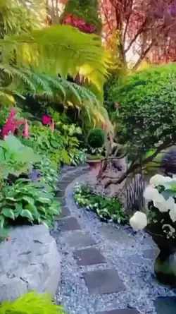 Natural beauty 
