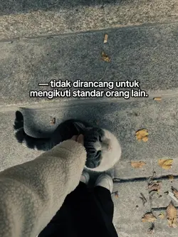 Standar orang lain 