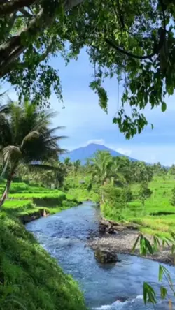 village atmosphere