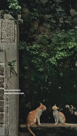 tuk sementara sampai