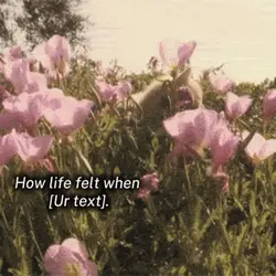 How life felt when..