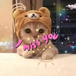 I Miss You