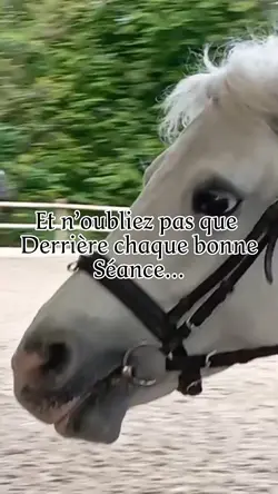 N’oubliez pas…