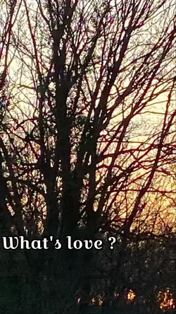What's LOVE?