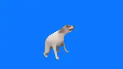 anjing joget