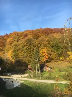 Napisz