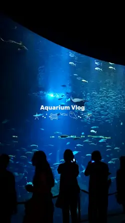 vlog aesthetic 