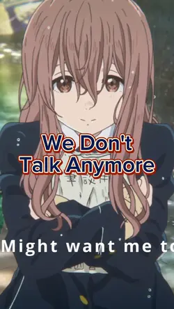 We Don't Talk Anymor