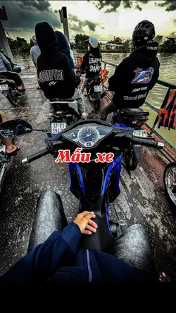Mẫu xe 