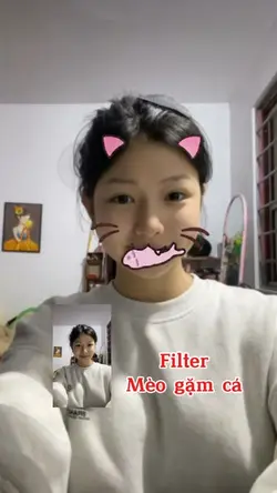 Filter Mèo Gặm Cá 