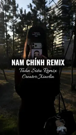 Nam Chính Remix