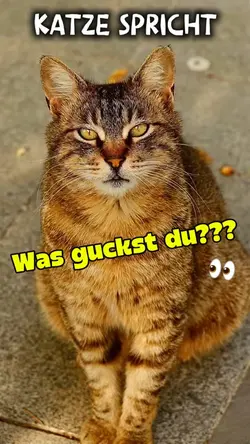 Katze spricht AI