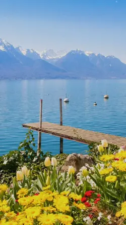 Lac 