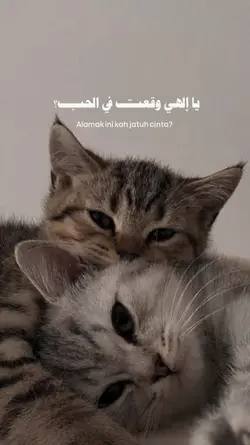 Alamak versi Arabic 