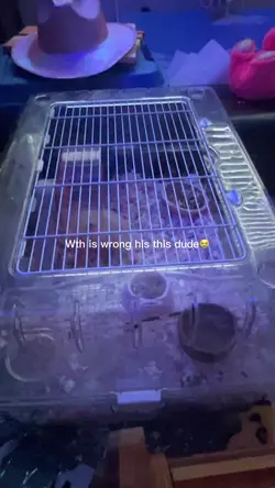 Wth bro😭😭