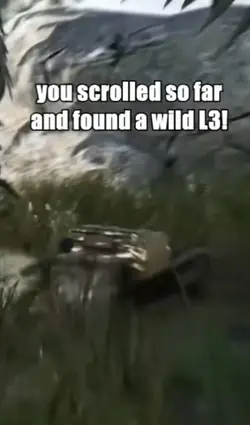 wild l3