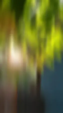 2 video+ 3 foto