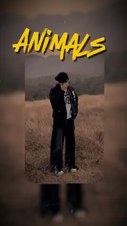 Lyrics 