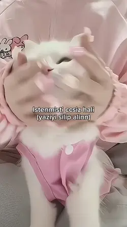 Kedili fancam