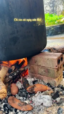 Bánh chưng tết