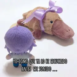 literal