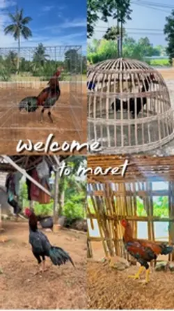 welcome to maret