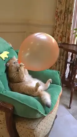 Balloon 