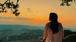 Đàn tranh slow màu