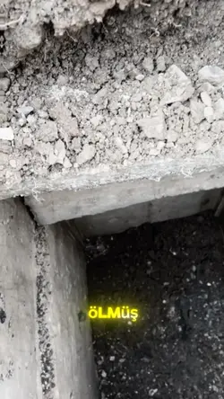 Ölüm var 