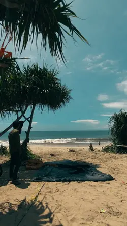 Riptide - Vance Joy 