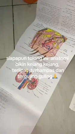 cr:tiktok