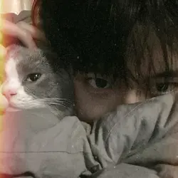 catlover