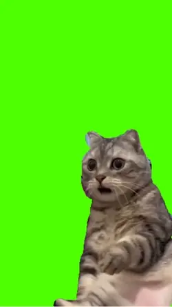 Green screen 