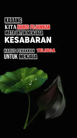 Kesabaran
