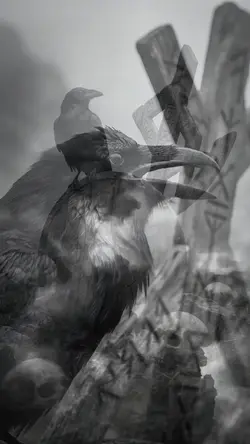 RAVEN VIKING SPIRIT 